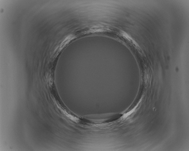 X0000075861353200609221745