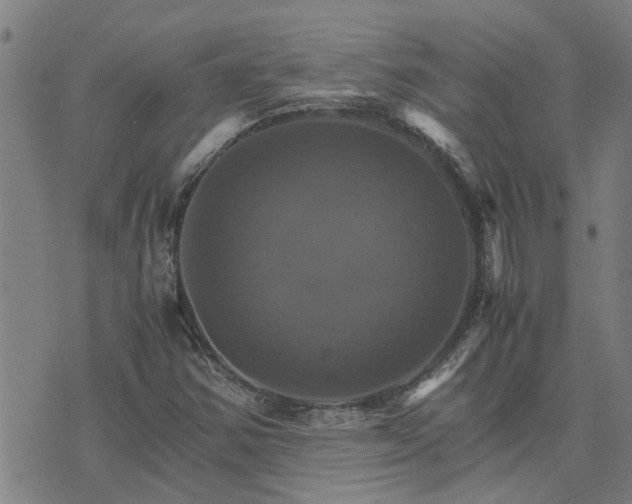 X0000075861354200609221745