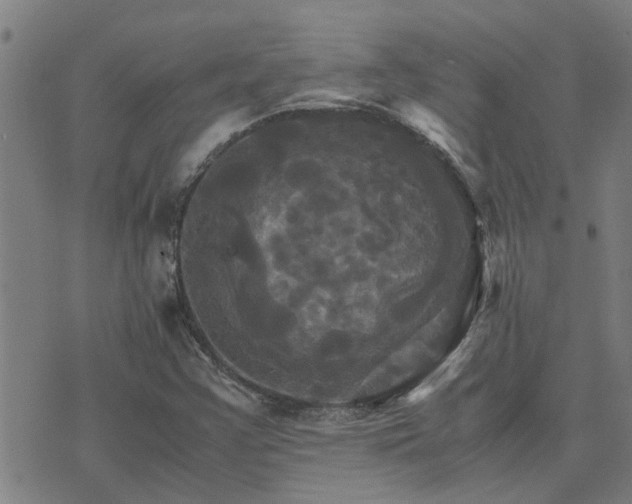 X0000075861355200609221745