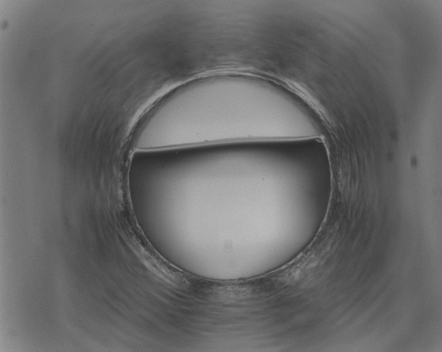 X0000075861356200609221745