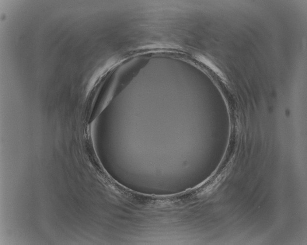 X0000075861357200609221745