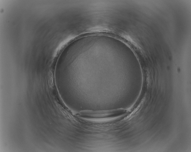 X0000075861358200609221745