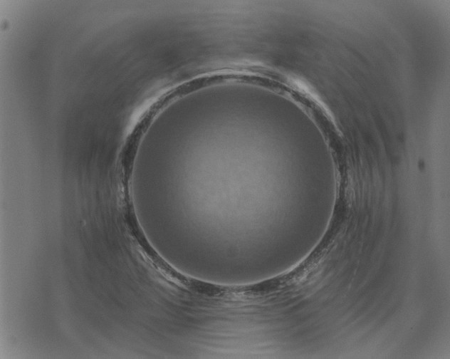 X0000075861360200609221745