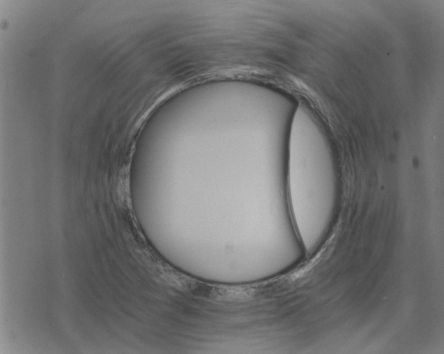 X0000075861361200609221745