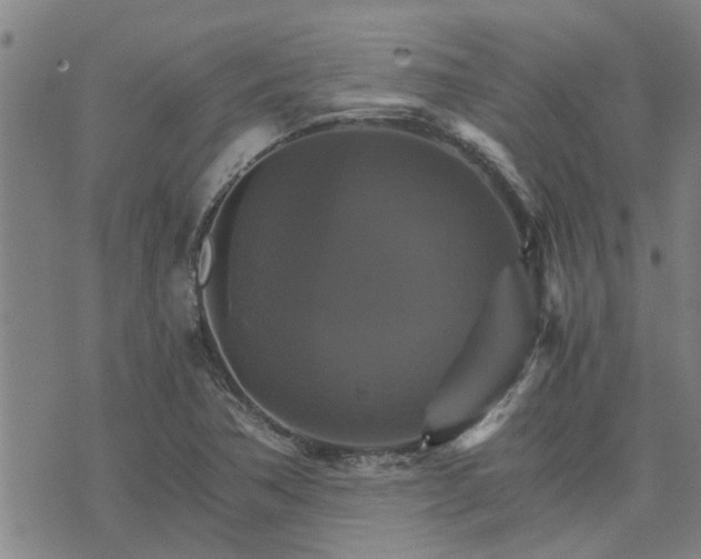 X0000075861362200609221745