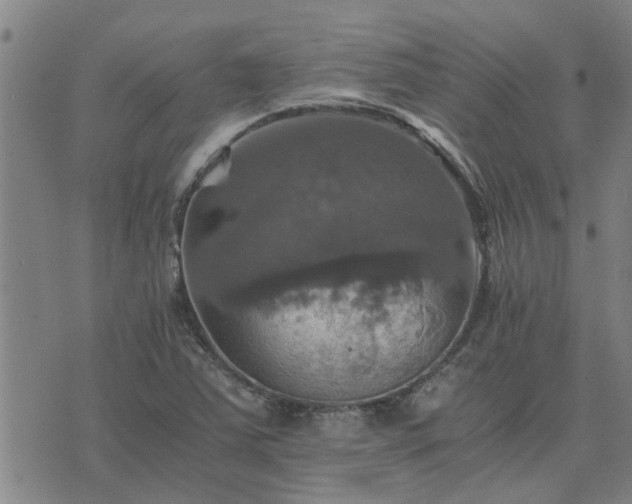 X0000075861363200609221745