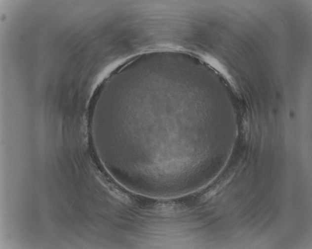 X0000075861364200609221745