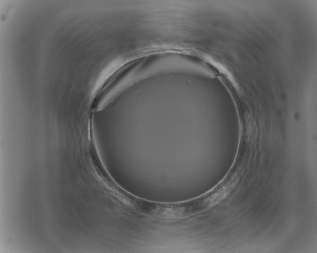 X0000075861365200609221745