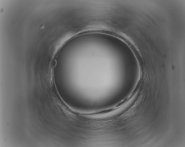 X0000075861366200609221745