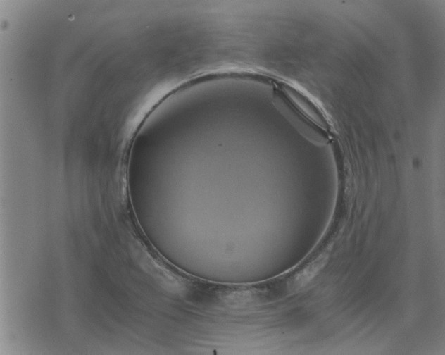 X0000075861367200609221745