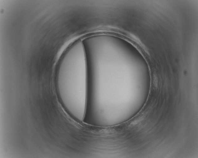 X0000075861368200609221745