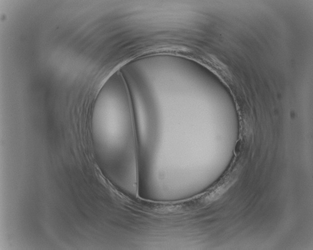 X0000075861369200609221745