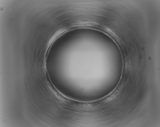 X0000075861370200609221745