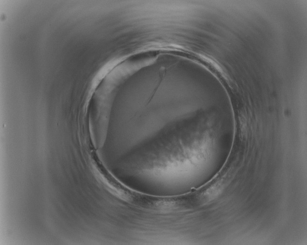 X0000075861371200609221745