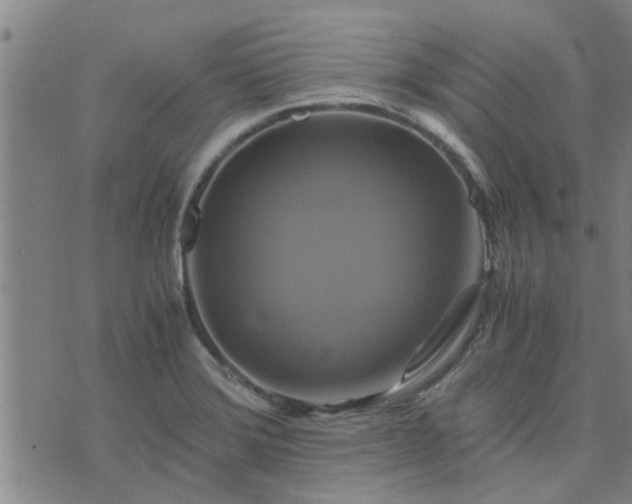 X0000075861372200609221745