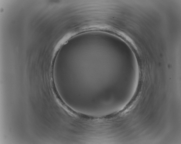 X0000075861373200609221745