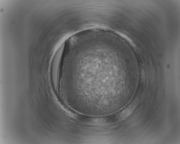 X0000075861375200609221745