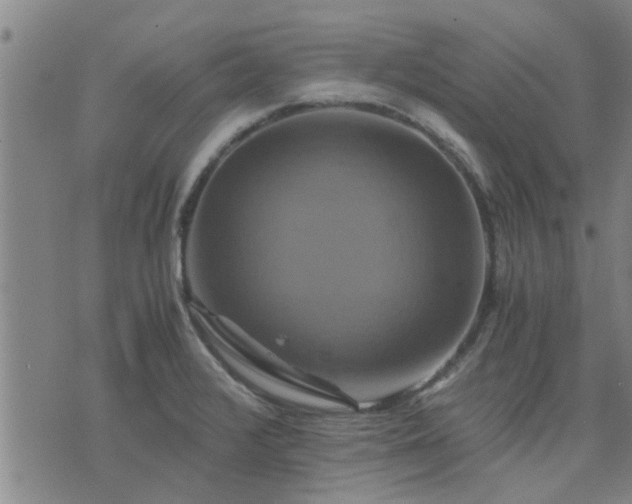 X0000075861376200609221745