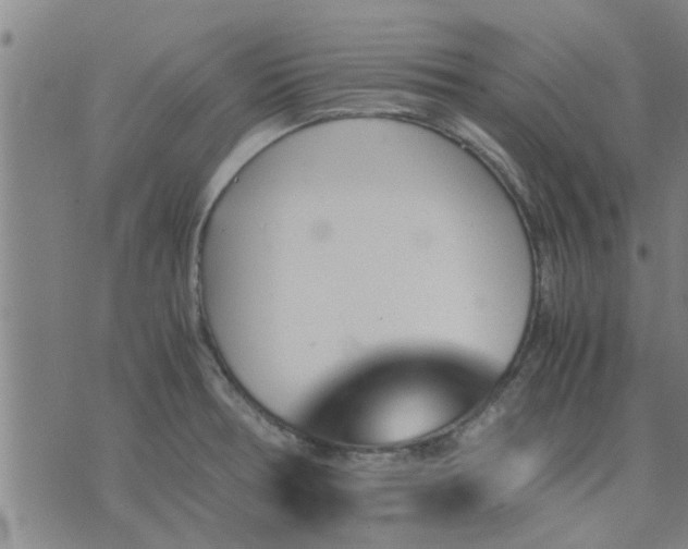 X0000075861378200609221745