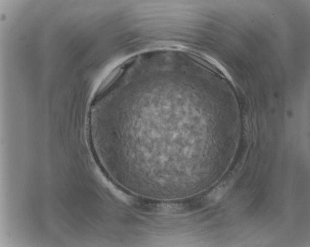 X0000075861379200609221745