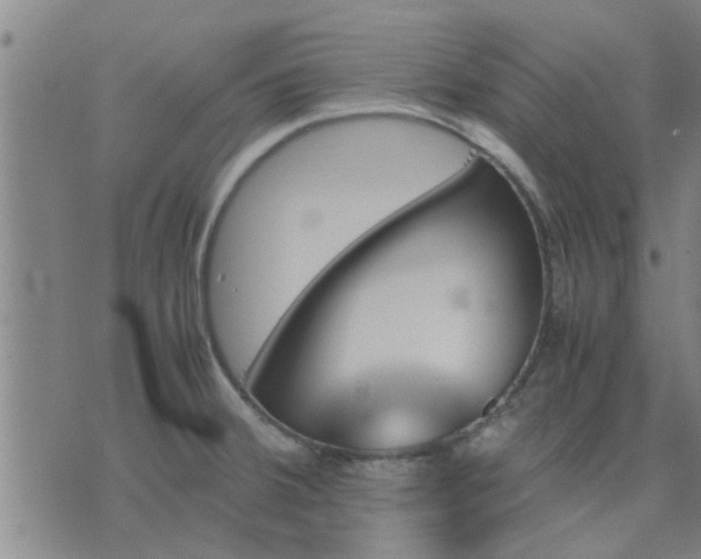 X0000075861380200609221745