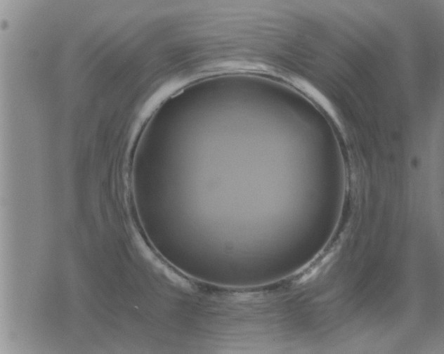 X0000075861381200609221745