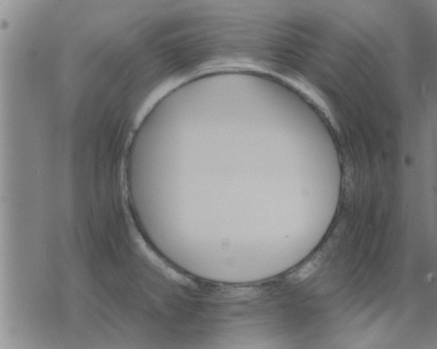 X0000075861382200609221745