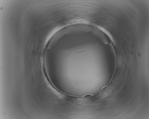 X0000075861383200609221745