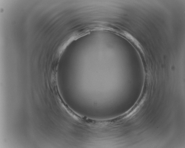 X0000075861385200609221745