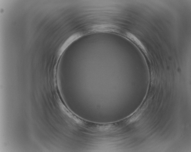 X0000075861386200609221744