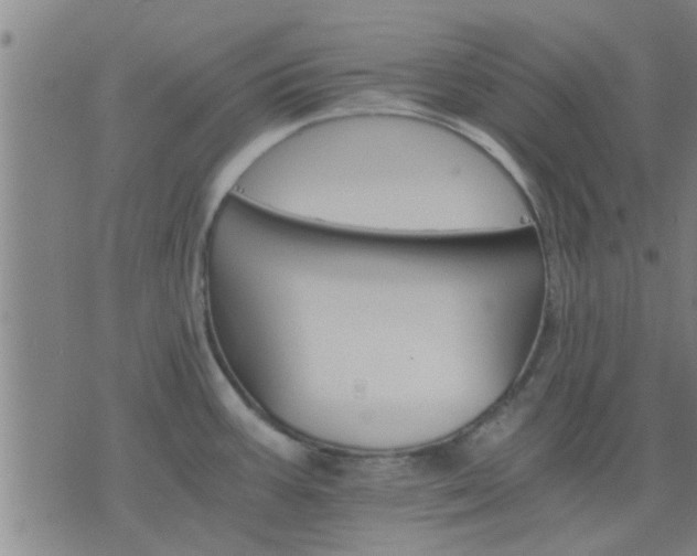 X0000075861387200609221744