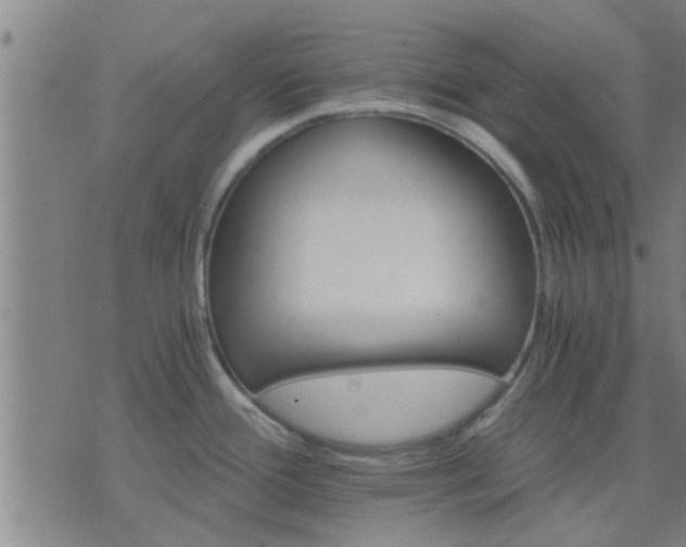 X0000075861388200609221744