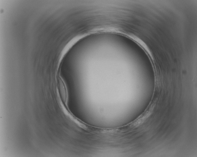 X0000075861389200609221744