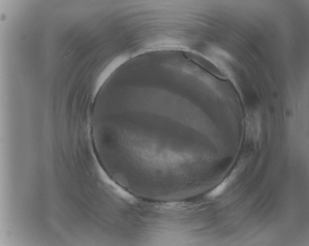 X0000075861390200609221744