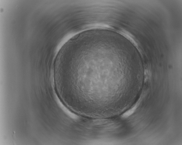 X0000075861391200609221744