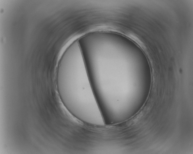 X0000075861392200609221744