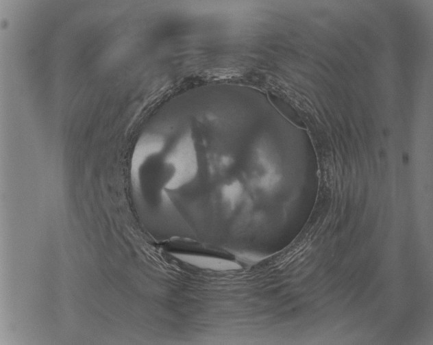 X0000075861393200609221744