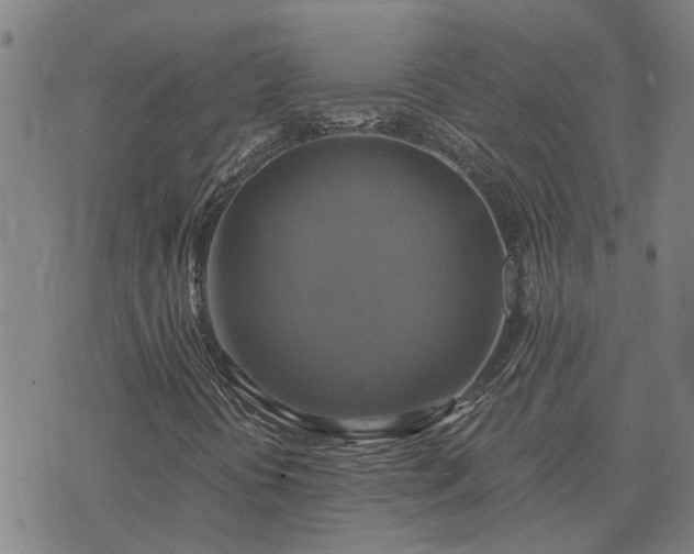 X0000075861394200609221744