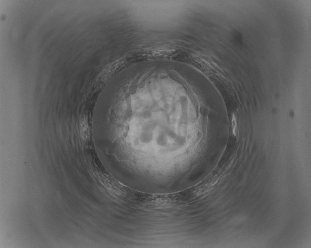 X0000075861395200609221744