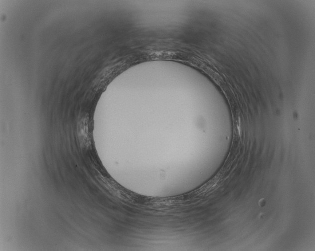 X0000075861396200609221744