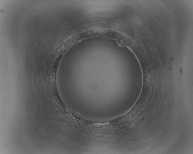 X0000075861397200609221744