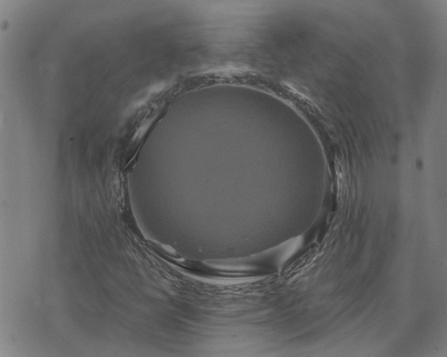 X0000075861398200609221744