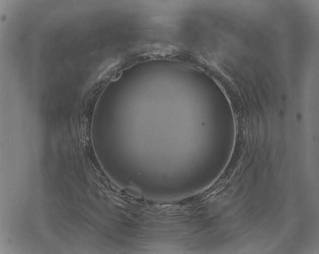 X0000075861399200609221744