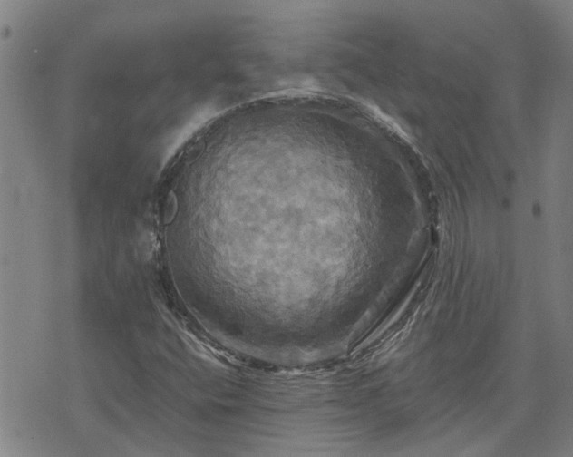 X0000075861400200609221744