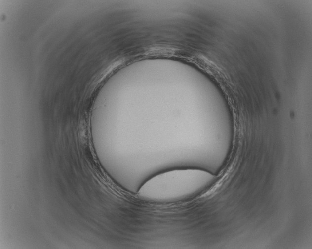 X0000075861401200609221744