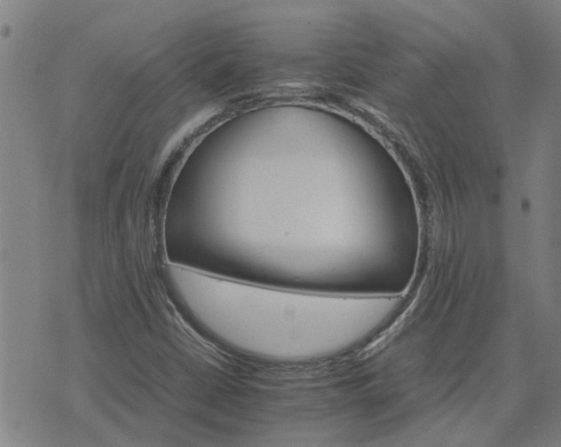 X0000075861402200609221744