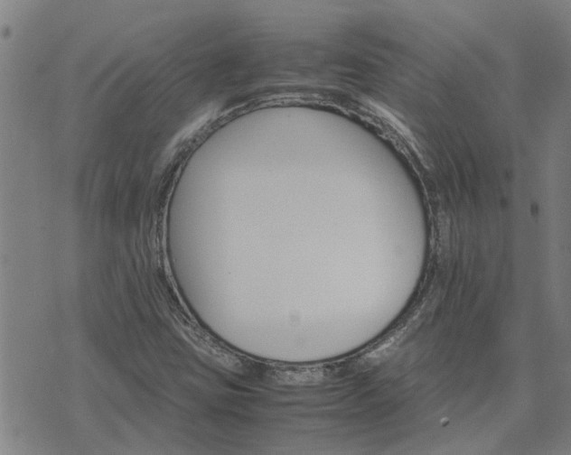 X0000075861403200609221744