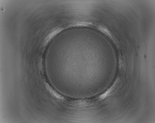 X0000075861404200609221744