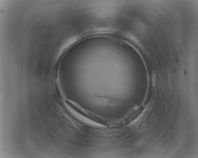 X0000075861405200609221744