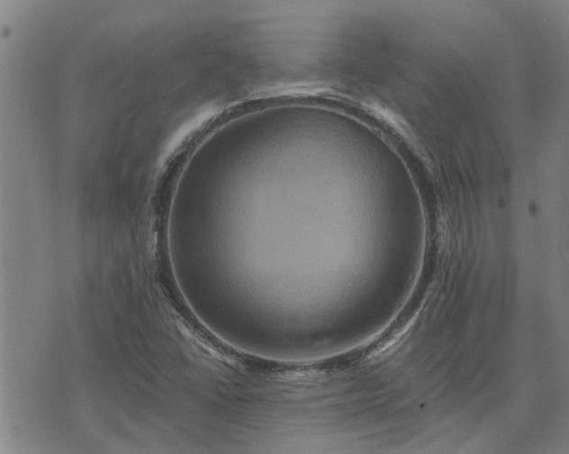 X0000075861406200609221744